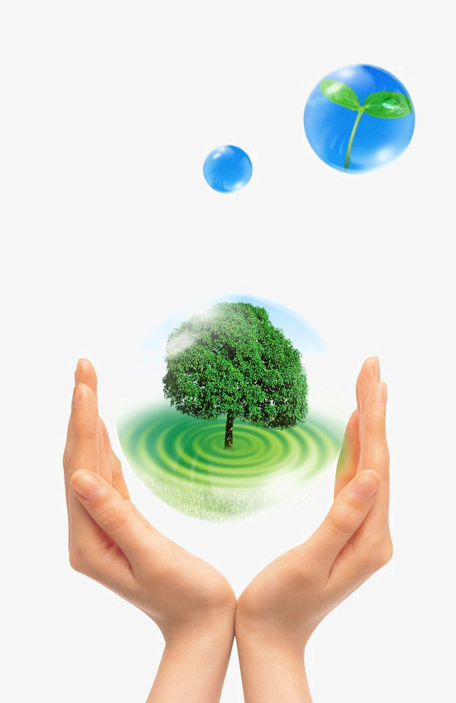 双手呵护的绿色家园