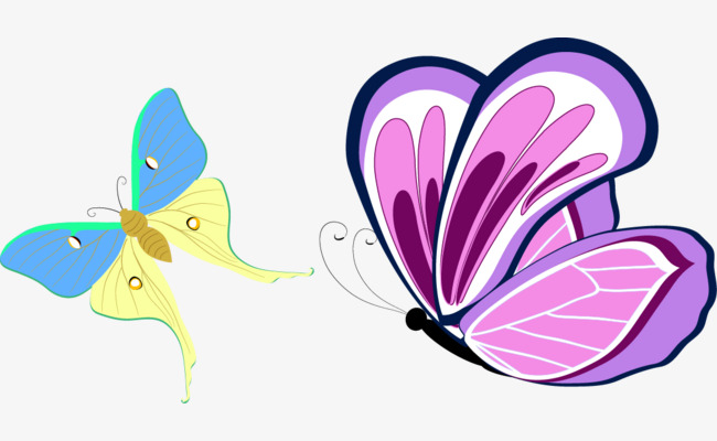 缤纷炫彩蝴蝶矢量唯美动物