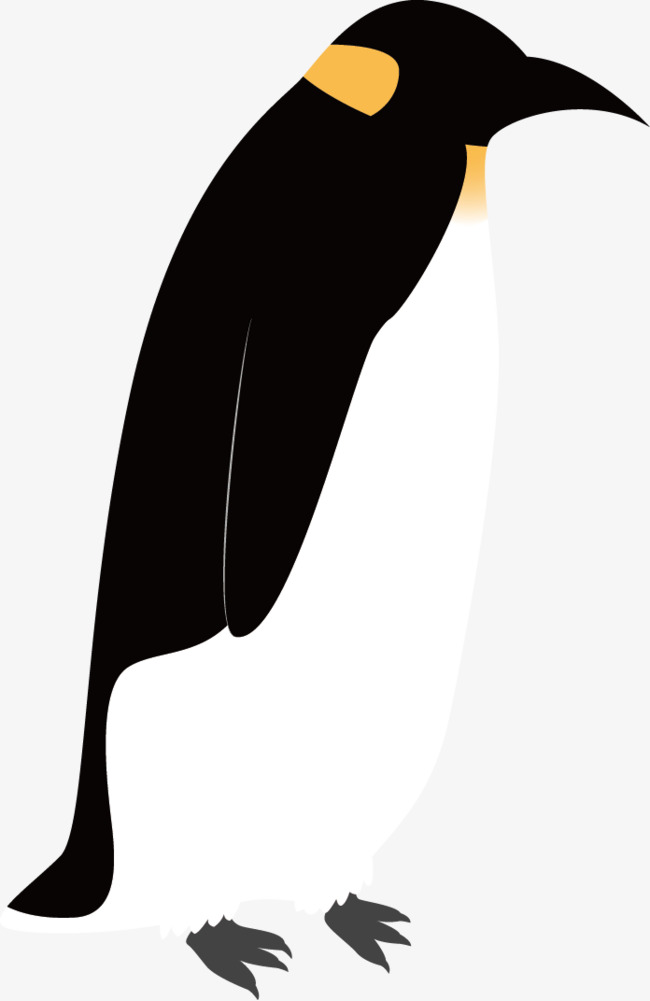 黑色企鹅