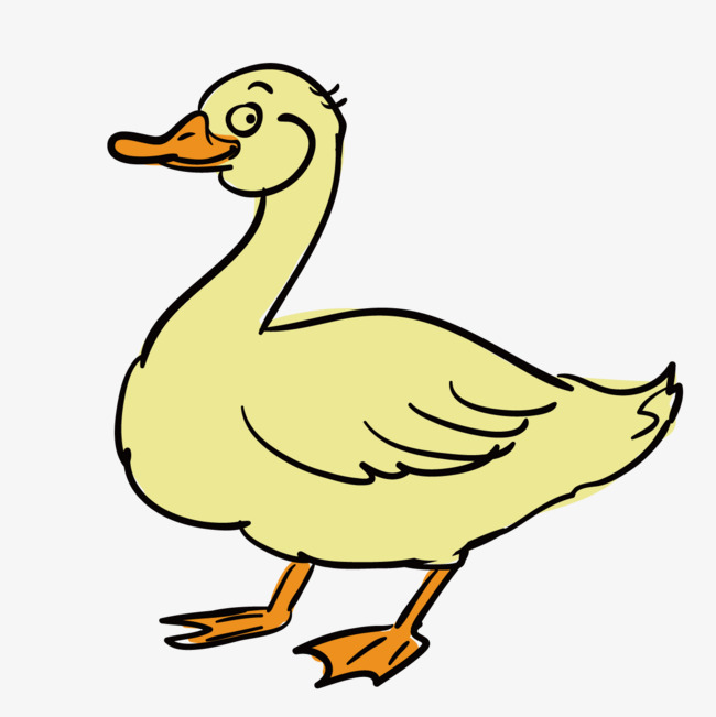 手绘鸭子
