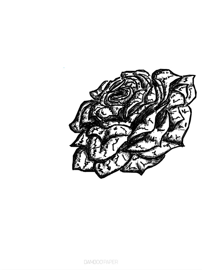 手绘月季花png素材-90设计