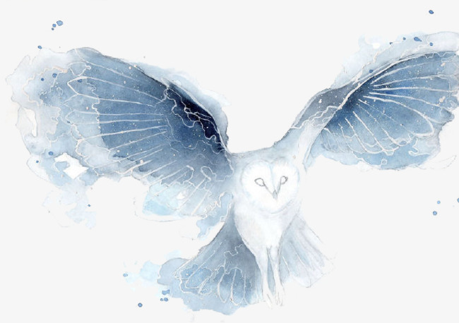 创意手绘飞翔的雄鹰