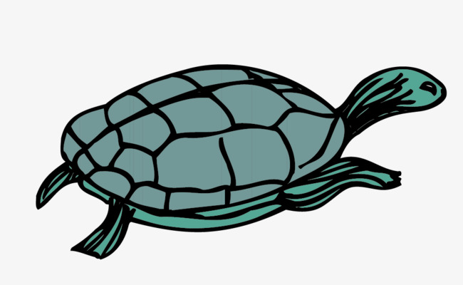 矢量乌龟素材png素材-90设计