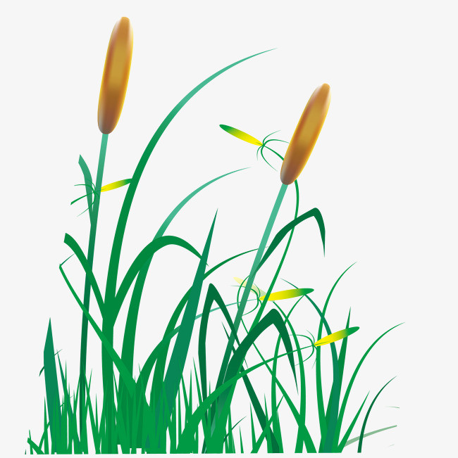 黄色蒲公英狗尾巴草花束矢量装饰素材