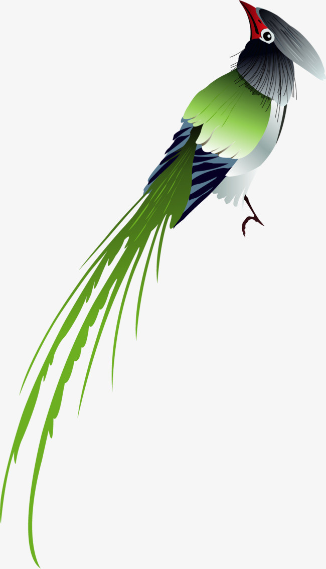 矢量手绘鸟png素材-90设计