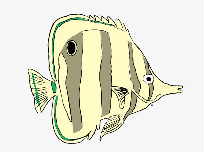 矢量尖嘴观赏鱼素材