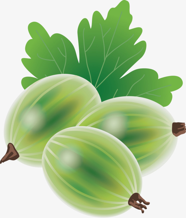 手绘美味水果蛋糕矢量图