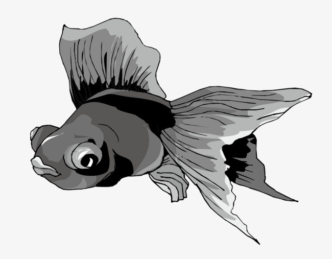 卡通矢量金鱼免抠矢量素材