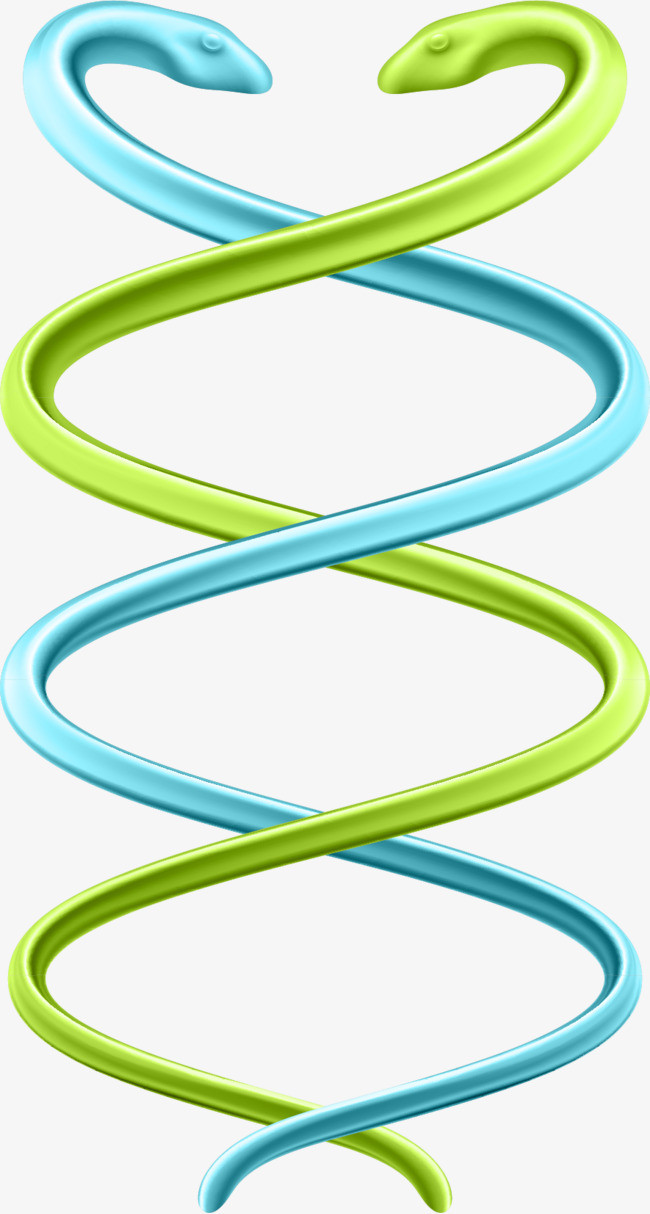 矢量手绘蛇形装饰