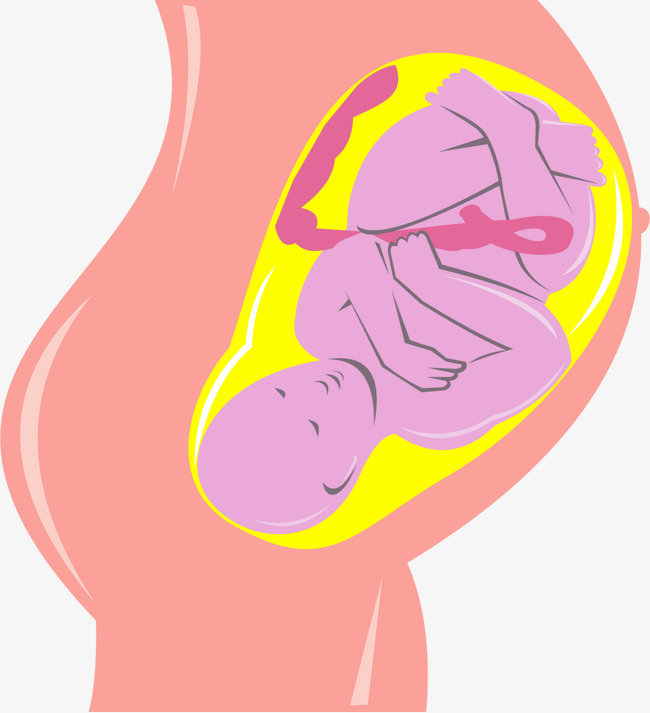 怀孕大肚子动画图片