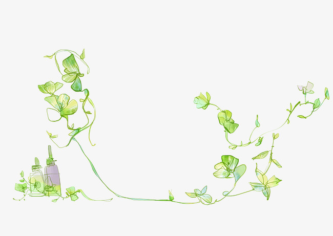 绿色藤蔓矢量