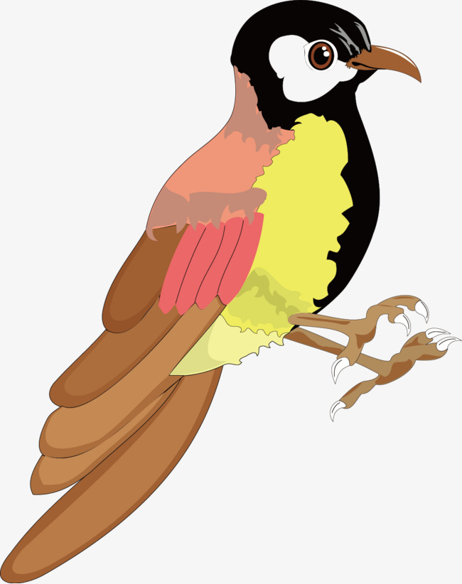 啄木鸟装饰矢量素材