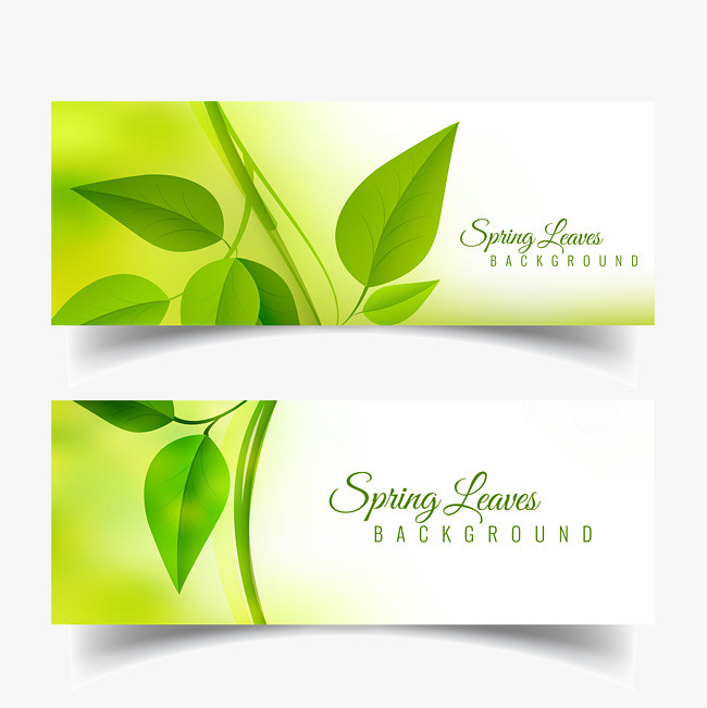 矢量春天绿叶卡片