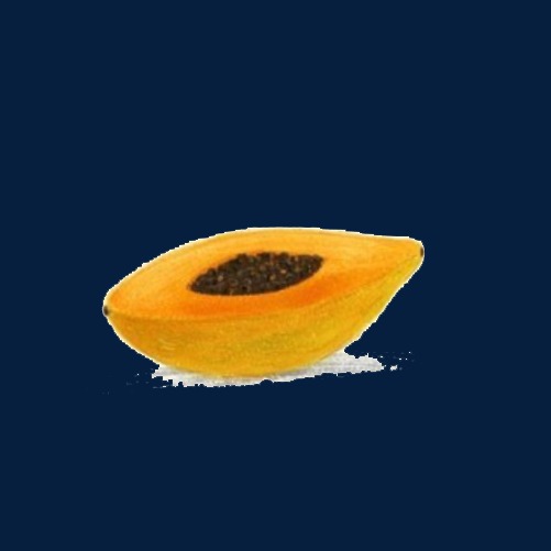 木瓜手绘画素材图片