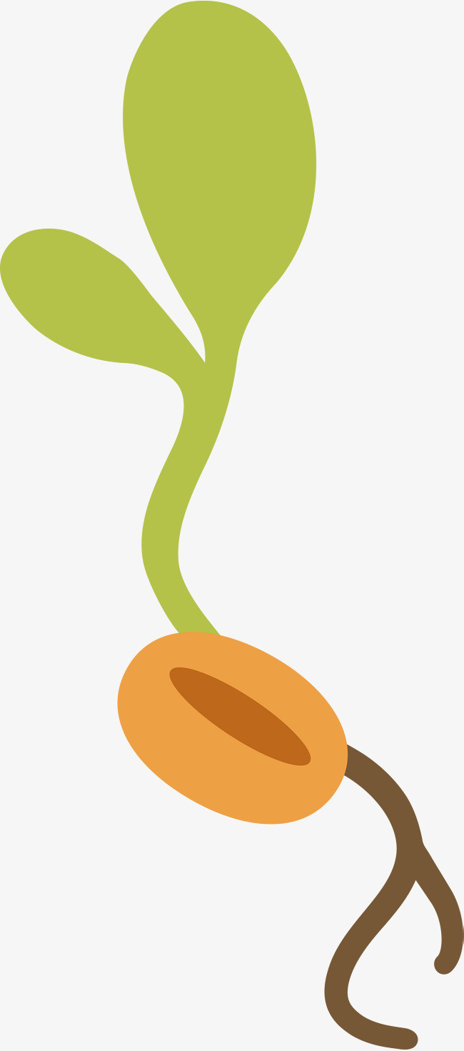 有机蔬菜豆芽实物摄影