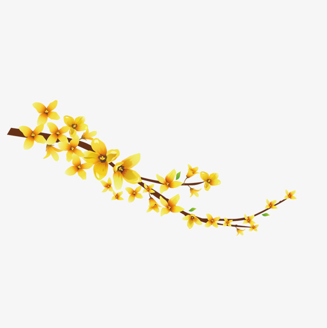 卡通迎春花
