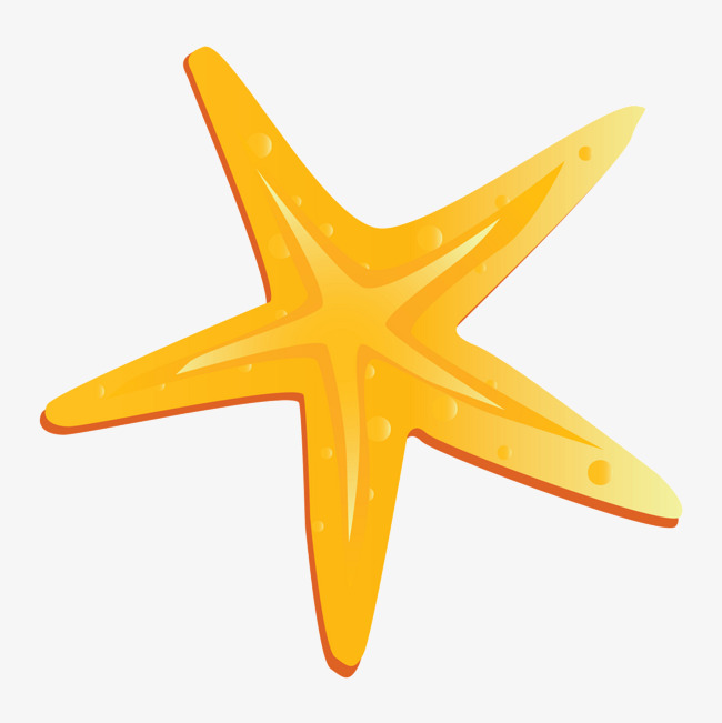 海星素材