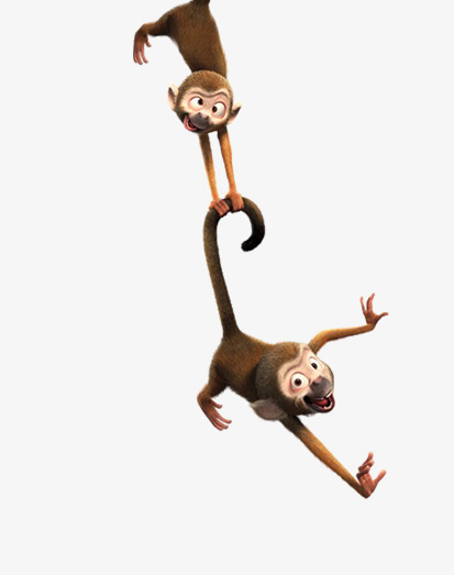 两只倒挂的猴子