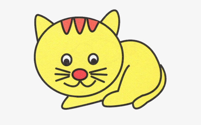 猫咪宠物玩耍快乐胖猫喵喵周末黄猫