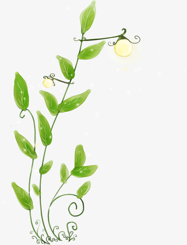 绿色水彩藤蔓