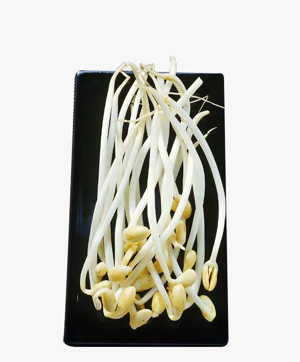 白色豆芽
