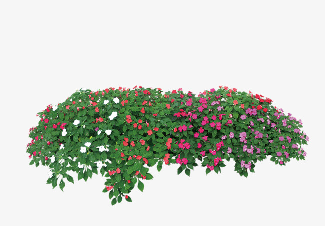 绿色简约草丛鲜花装饰图案