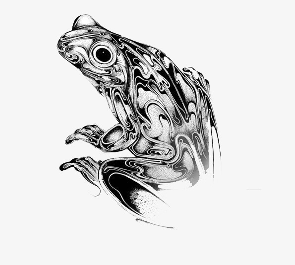 黑白图案青蛙