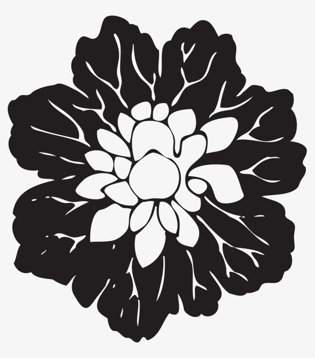 黑色花朵矢量