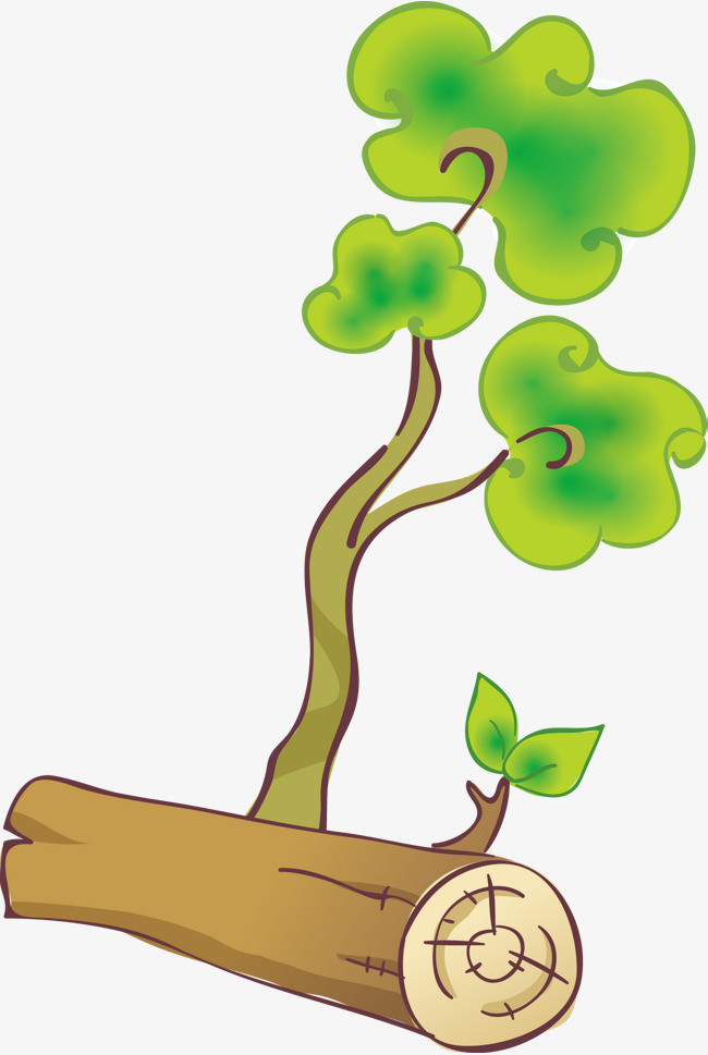 树干树枝