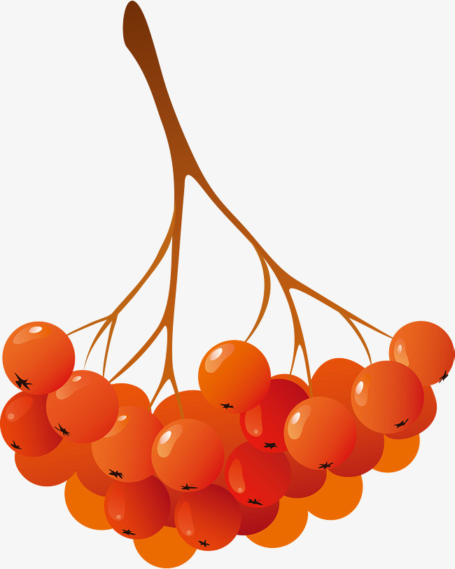 矢量卡通扁平化mbe樱桃装饰边框