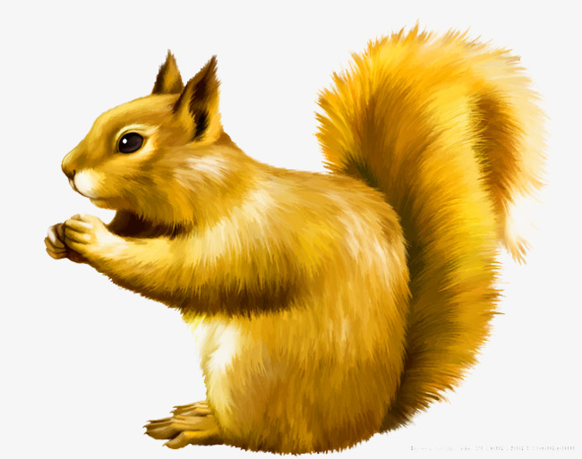 黄色手绘松鼠装饰图案