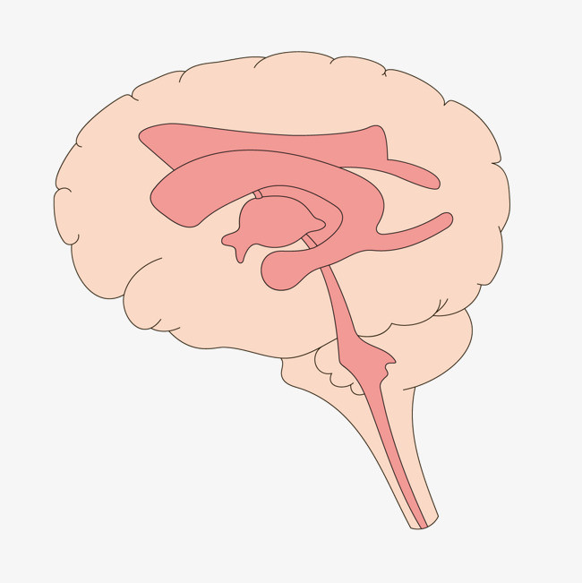 矢量最强大脑黄色脑细胞