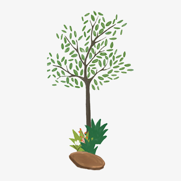 手绘小树插画