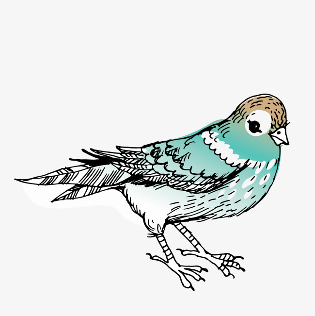 矢量卡通手绘小鸟