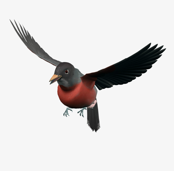 褐色简约小鸟装饰图案