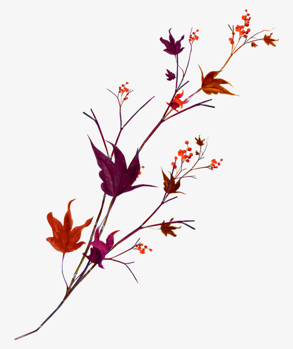 红色清新树枝装饰图案