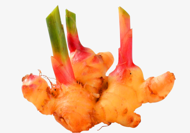 黄色简约生姜装饰图案