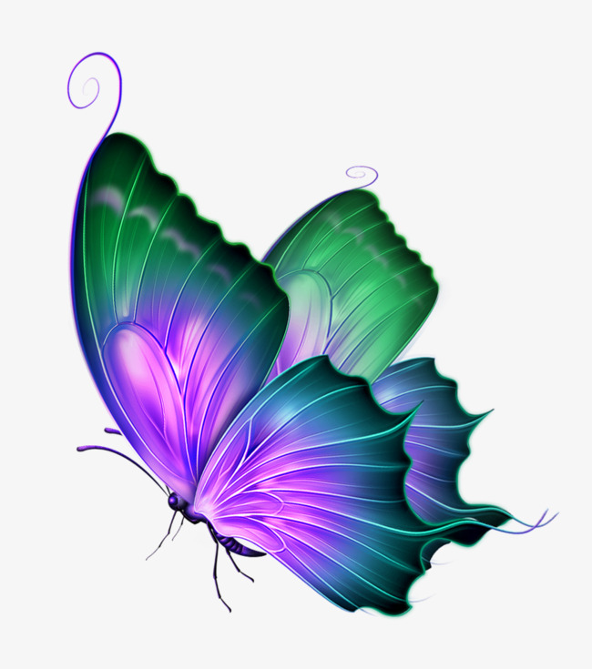 手绘插画装饰图案元素春天花花小蝴蝶