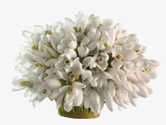 白色清新花朵装饰图案