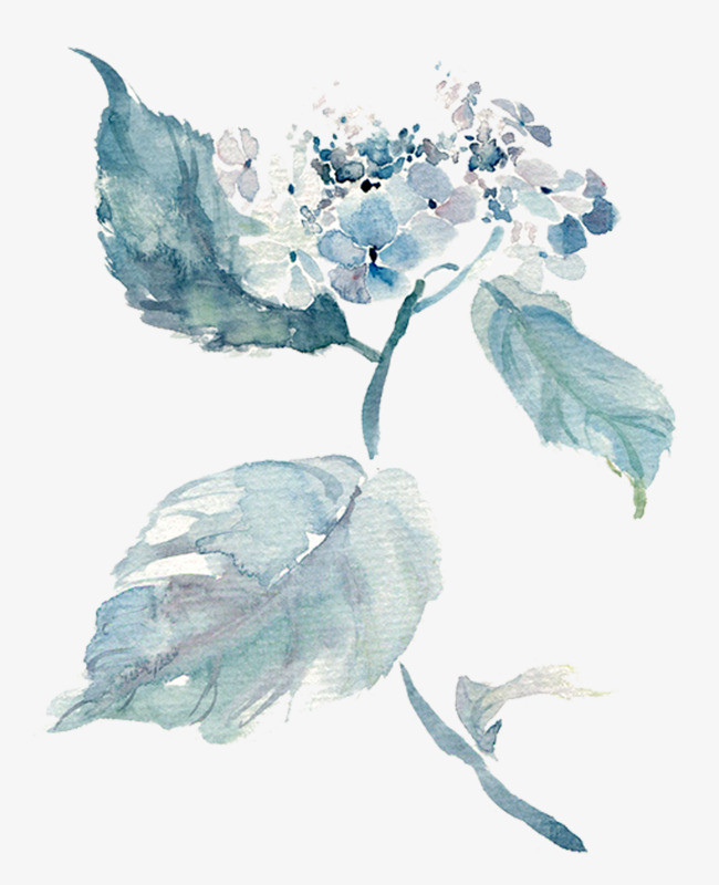 水彩背景_水彩叶子png素材-90设计