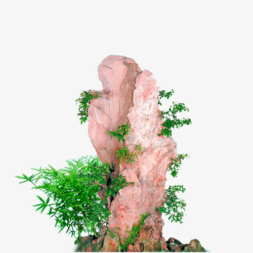 褐色简约石块植物装饰图案