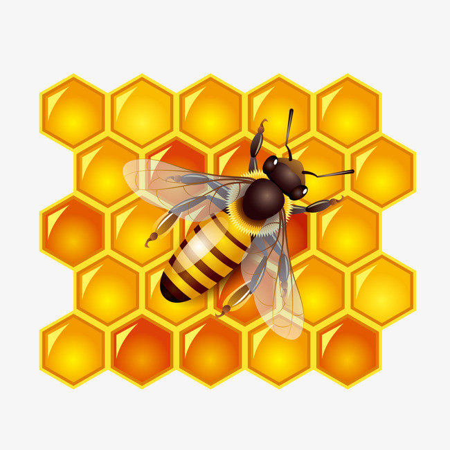 3d蜂巢png免抠素材