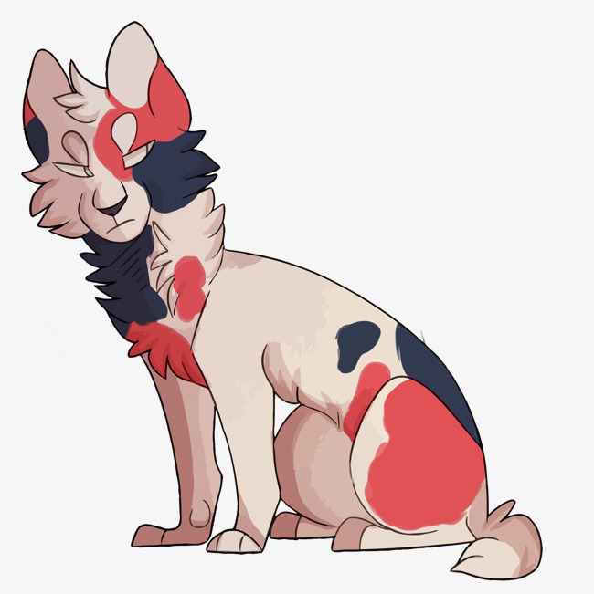 卡通动物三花猫吃西瓜边框装饰图案png