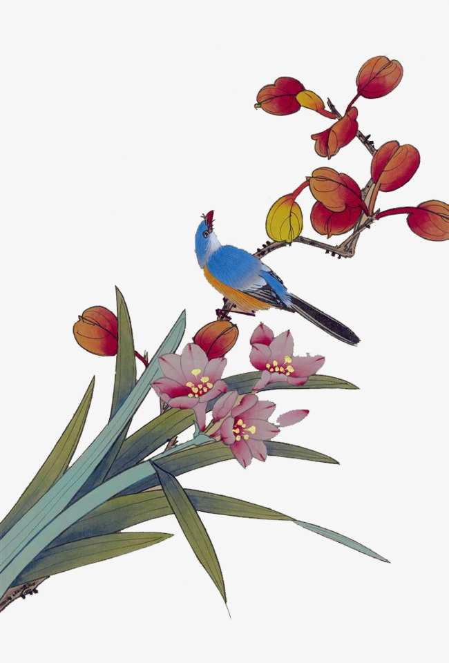 中国花鸟画