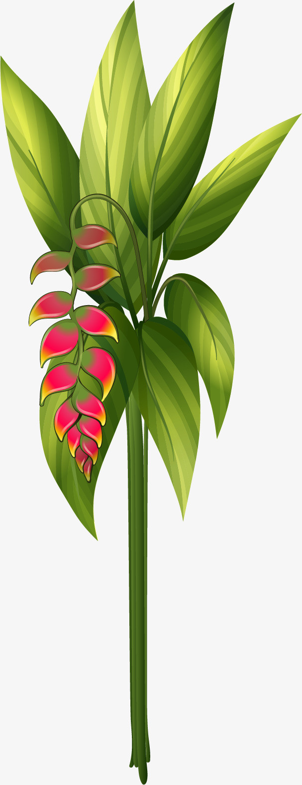 绿色植物素材