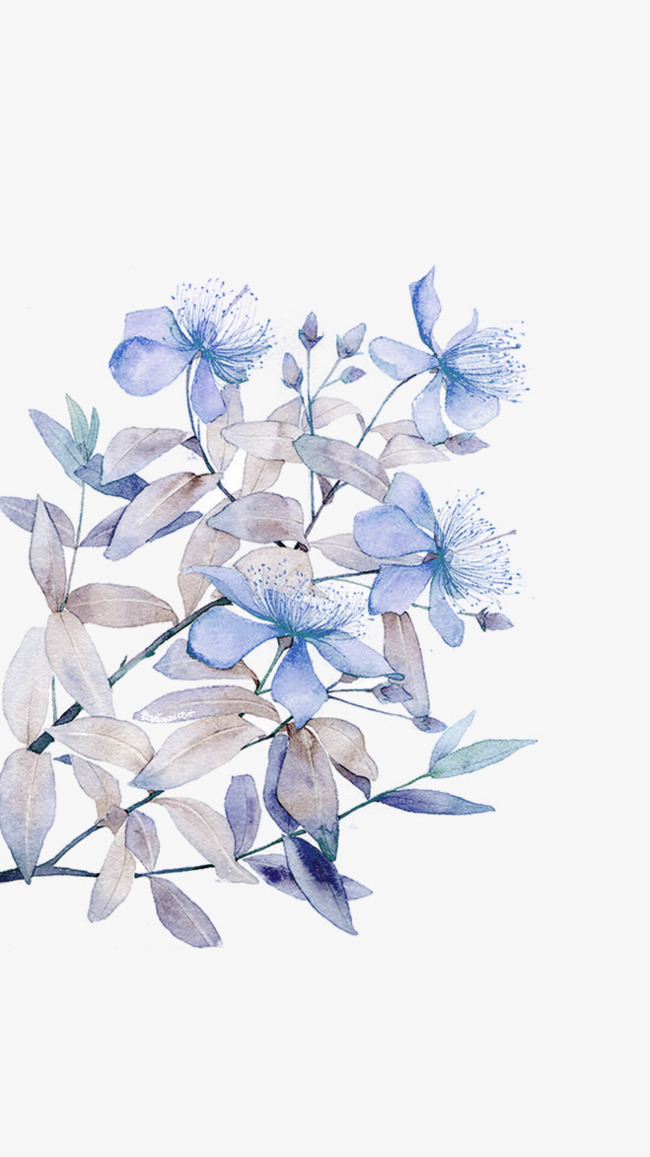 蓝色清新花朵装饰图案