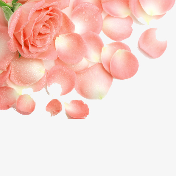 粉色清新花朵花瓣装饰图案