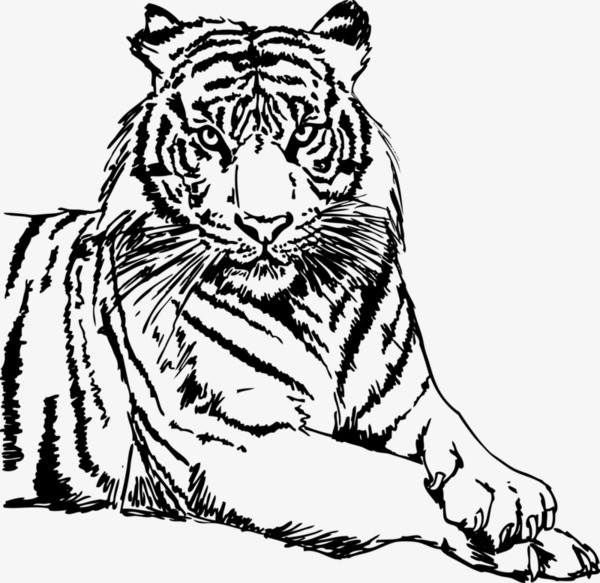 卡通老虎猴子鳄鱼可爱动物矢量元素