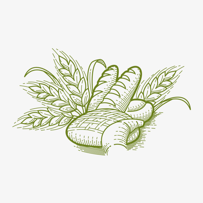 芒种小麦原创卡通手绘插画免扣素材