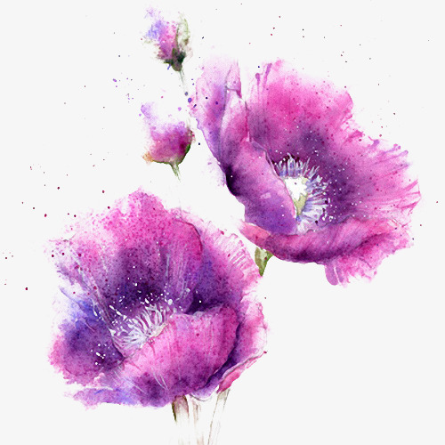 水彩紫色花朵